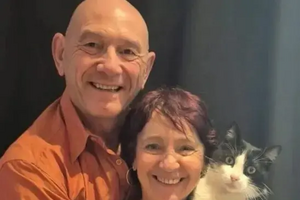 Uma história incrível! Conheça o Filou, o gato que andou 250 km para reencontrar os donos