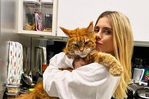 Quase do tamanho da dona! Gato gigante de Carolina Dieckmmann enlouquece os fãs