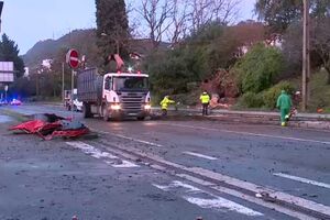 Um morto em queda de árvore em cima de carro em Vila Franca de Xira