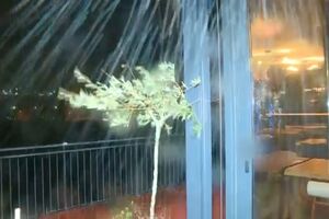 Vento forte em Coimbra "impossibilita" equipa da CMTV de fazer reportagem no exterior