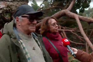 "Árvore caiu a cinco metros da cama da minha filha": Palacete de José Cid muito danificado devido ao mau tempo