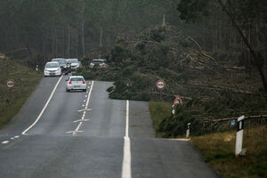 Estrada nacional 242, que liga Marinha Grande a Nazaré, condicionada depois da passagem da depressão Kristin