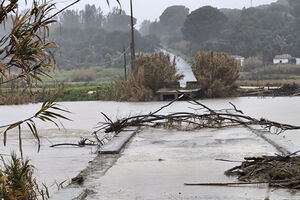 Cheias afetam agricultura e infraestruturas, levando a apoios governamentais