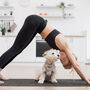 Alongar, respirar fundo... e fazer festinhas. Vem aí uma sessão de Doggy Yoga para apoiar a União Zoófila