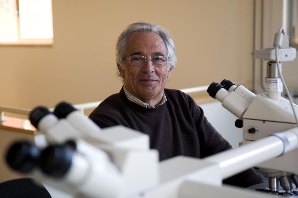 O investigador Manuel Sobrinho Simões