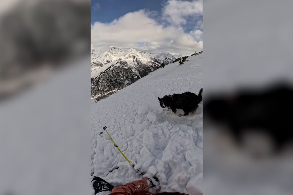 Ares Masip estava a esquiar com o cão quando foi apanhada por uma avalanche   