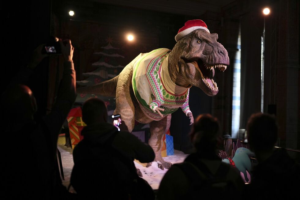 Estou revelou que o T-Rex crescia lenta e constantemente