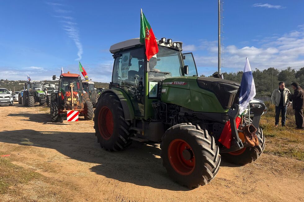 Acordo UE-Mercosul prevê redução de tarifas para azeite e vinho portugueses
