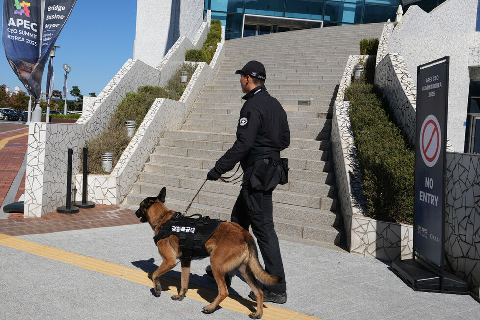Buscas na Coreia do Sul investigam envio de drones para a Coreia do Norte