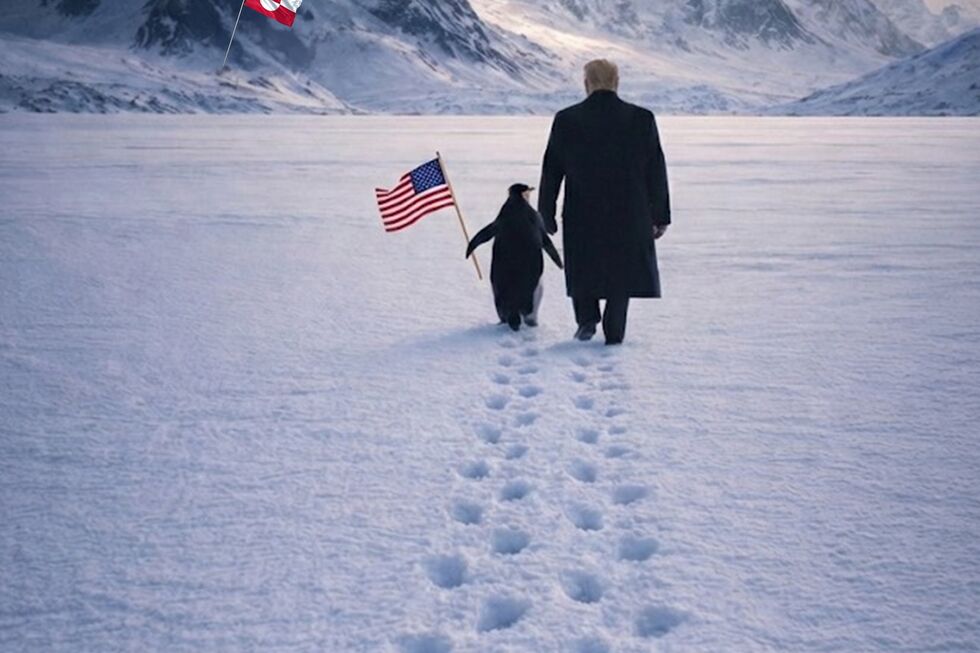 Trump e pinguim na Gronelândia, território sem pinguins, após partilha da Casa Branca