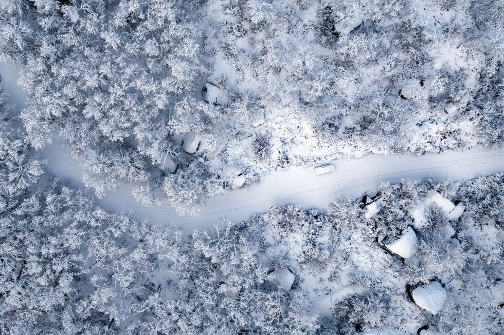 Ingrid causa um morto, um ferido e 21 deslocados em Portugal