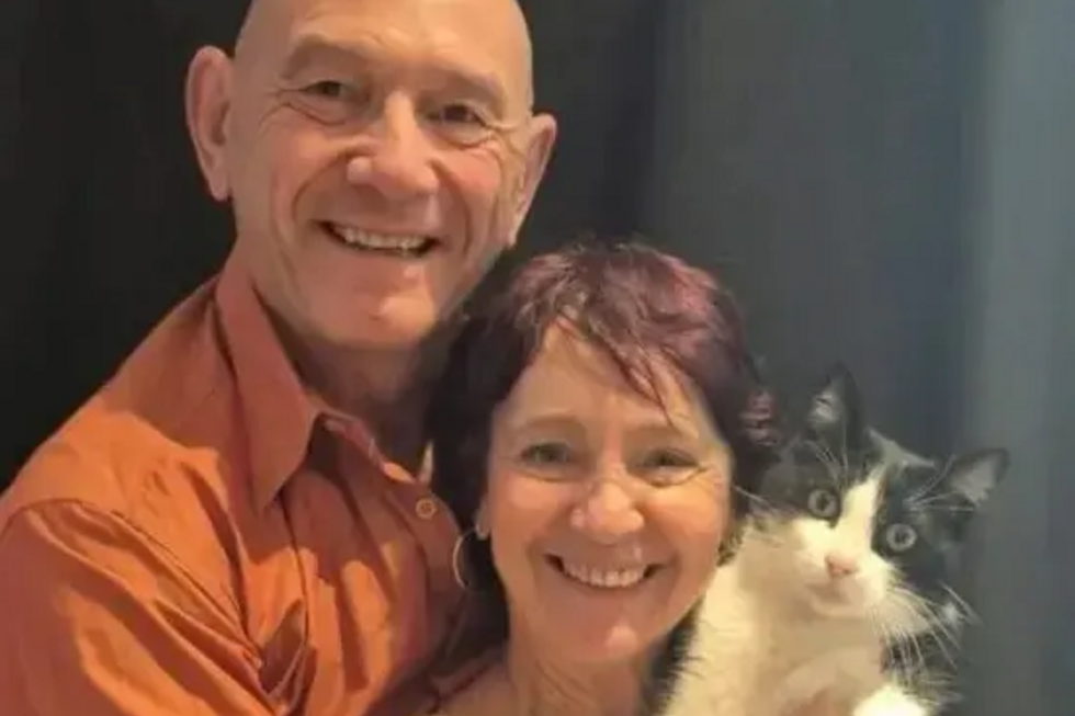 Uma história incrível! Conheça o Filou, o gato que andou 250 km para reencontrar os donos