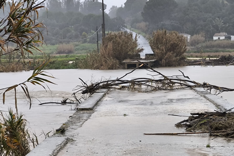 Cheias afetam agricultura e infraestruturas, levando a apoios governamentais