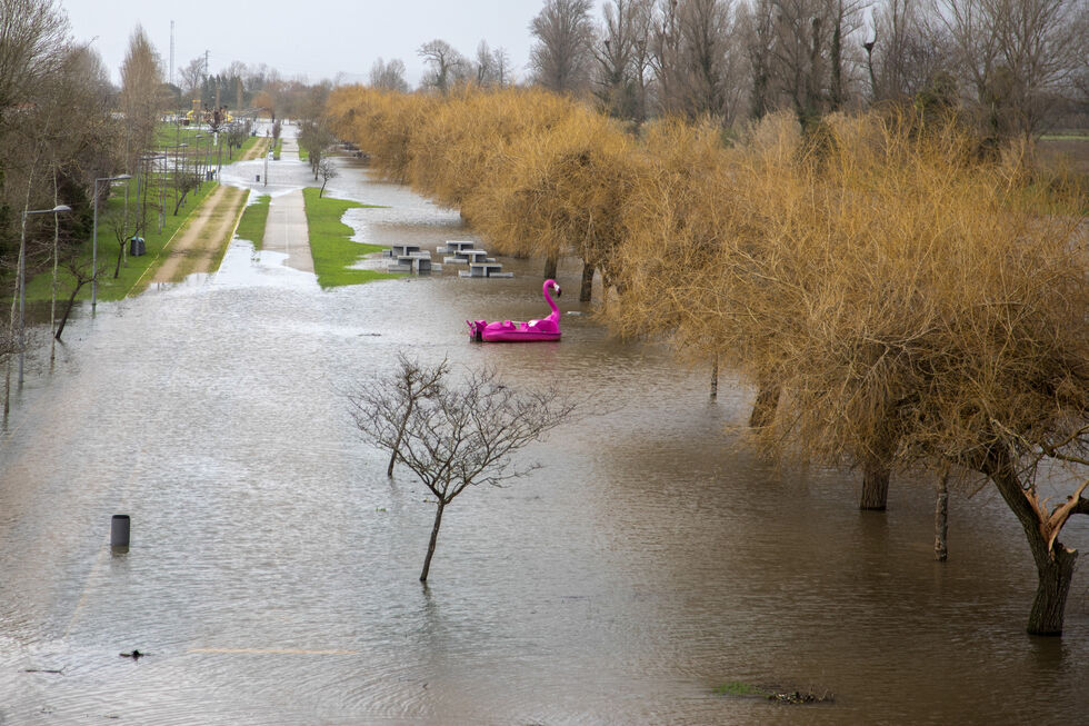 Parque Ribeirinho de Montemor-o-Velho inundado devido à subida do Rio Mondego, após a passagem da depressão Kristin