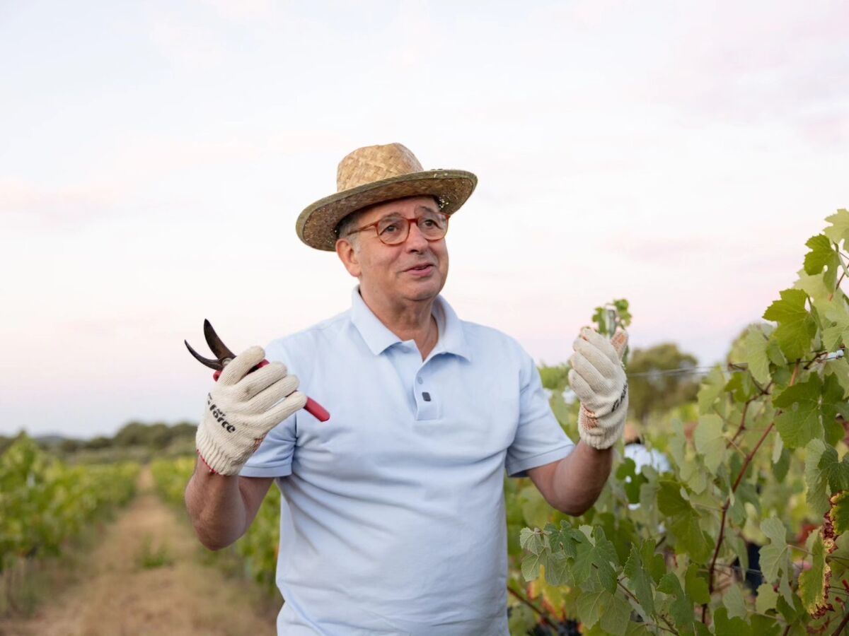 À prova: como são os vinhos do Presidente Seguro? 