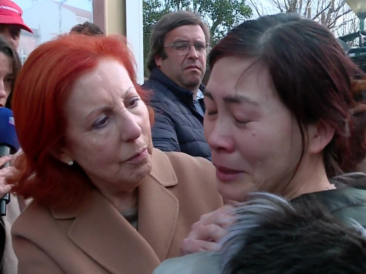 Como Maria da Graça Carvalho se antecipou a todos