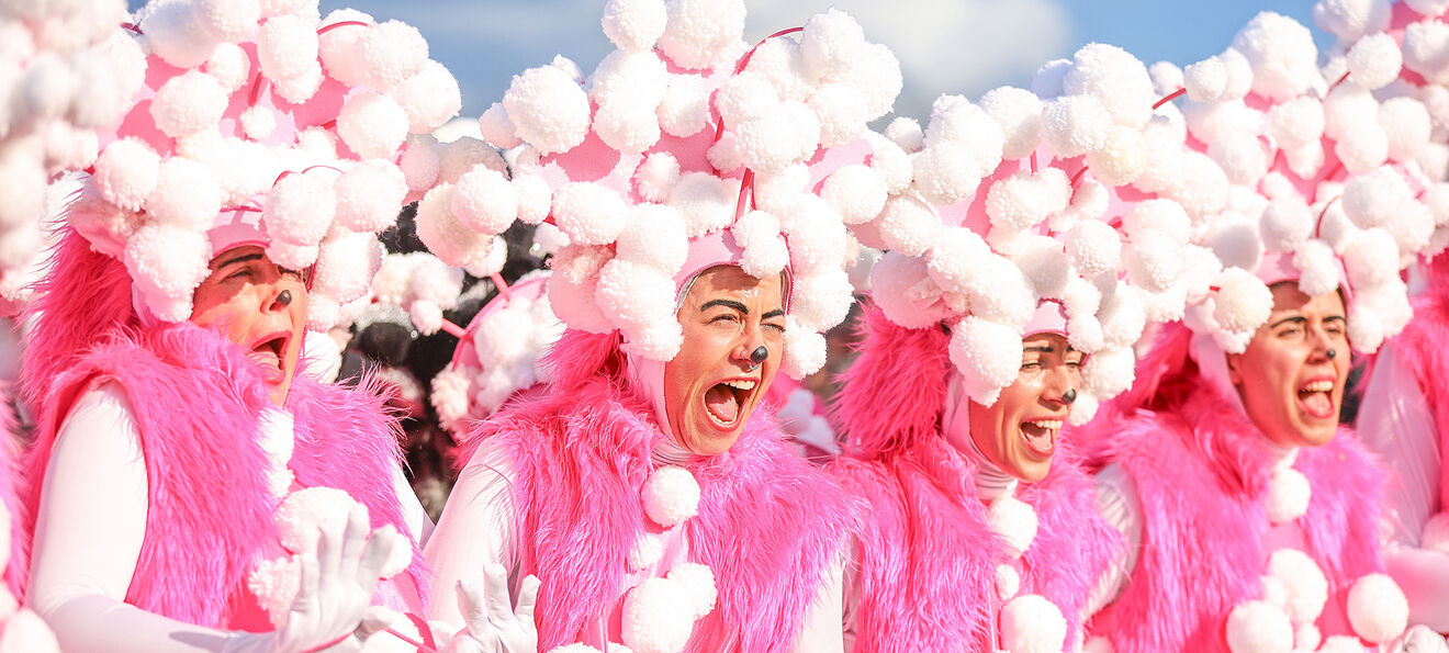 Foliões celebram o Carnaval de Estarreja com fantasias e alegria
