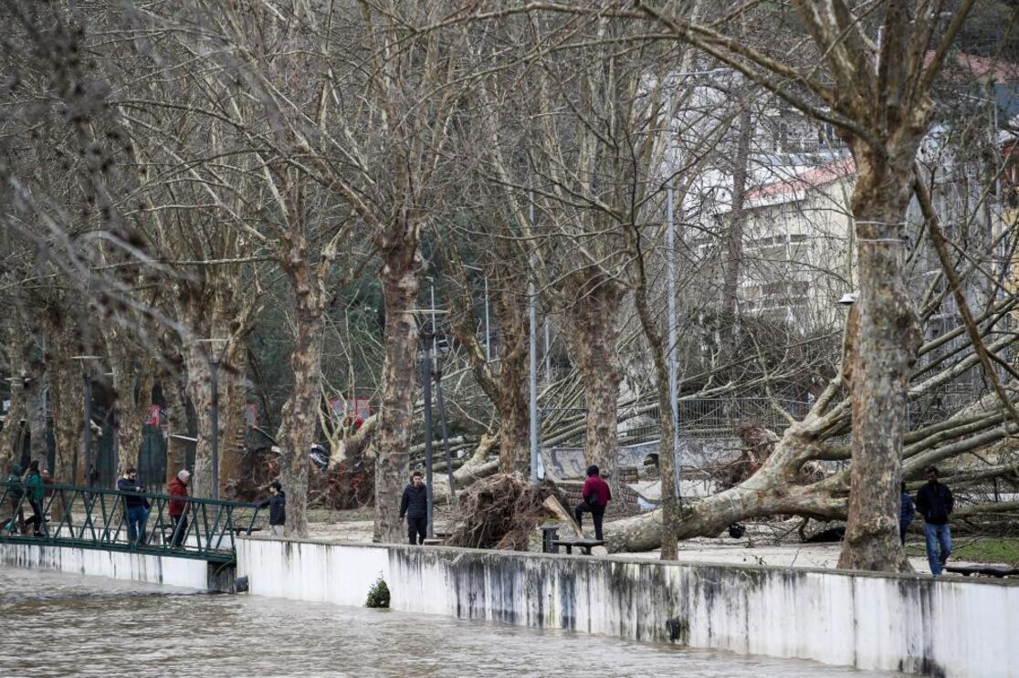 Depressão Kristin em Leiria levou a queda de árvores no parque do Avião