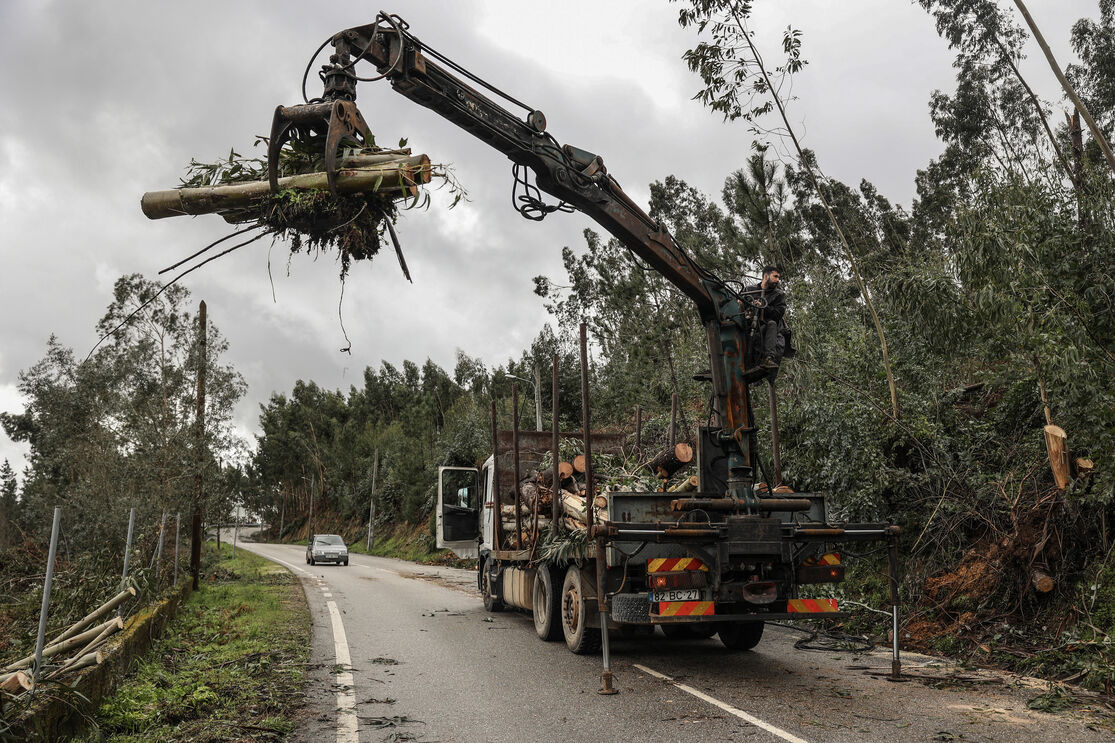 Limpeza de um troço de uma estada com destroços de árvores, em Alvaiázere.
