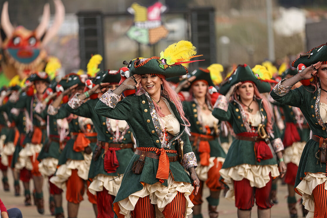 Foliões celebram o Carnaval em Estarreja com fantasias e alegria