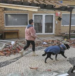 Mau tempo: No distrito de Leiria arregaçam-se mangas mas não se esquece o abandono