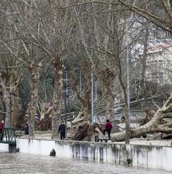 Mau tempo: Apoio à região de Leiria está a ser agilizado nos 'sites' SOSLeira e TempestadeSOS