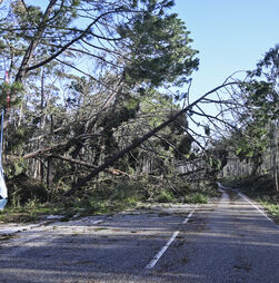 Mau tempo: Proteção Civil eleva estado de prontidão para o nível máximo