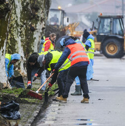 Mau tempo: Hospital de Leiria recebeu 545 feridos em acidentes de limpeza e reconstrução