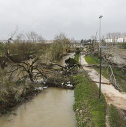 Mau tempo: Sequências de tempestades são raras e a culpa é do anticiclone dos Açores, especialista