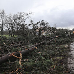 Mau tempo: Proteção civil registou 764 ocorrências entre as 00h00 e as 12h30 