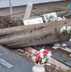 Queda de árvores destrói cemitério de Alverca do Ribatejo. Funcionários e populares preocupados