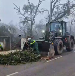 Militares limpam ruas em Alvaiázere. Mau tempo deixou várias estradas interditas