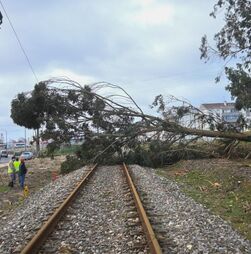 Mau tempo: Circulação ferroviária cortada em troços das linhas do Minho, Norte, Douro e Oeste