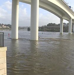 Mau tempo: Caudal do rio Douro subiu no Porto e capitania pede atenção à população