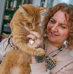 Na Alemanha há um gato na mira das autoridades por… miar demais