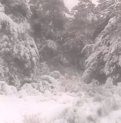Autoridades pedem cautela aos visitantes da Serra da Estrela