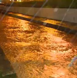 “Não estávamos à espera”: moradora sobre Ribeira da Laje transbordar em Santo Amaro de Oeiras devido à chuva intensa