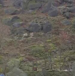 Família retirada de casa devido a possível derrocada em Arcos de Valdevez