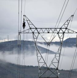 Tempestade derrubou 'mais de 60 torres e deixou 650 km de linhas inoperacionais', revela CEO da REN