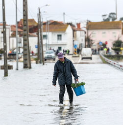 Pelo menos 70 ocorrências até às 06h30: tudo sobre o mau tempo