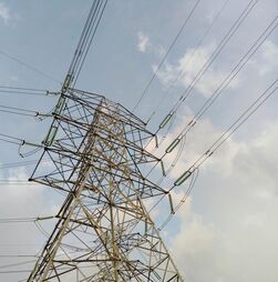 Funcionário morre durante trabalhos de conserto da rede elétrica em Leiria