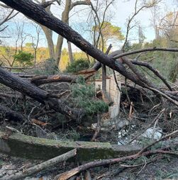 Mau tempo: Tempestade Kristin provoca 723 ocorrências em Tomar e meses de trabalho pela frente