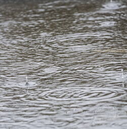 Ponte que liga Montijo a Pegões alvo de avaliação pela Infraestruturas de Portugal devido ao mau tempo