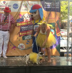 Carnaval no Brasil é para todos: desfile de cães ao som de samba no Rio de Janeiro