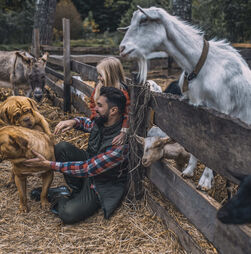 Quer ajudar os animais afetados pelas tempestades? Ações que deve conhecer que podem fazer toda a diferença