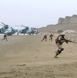 Irão: Guarda Revolucionária alertou navios para fecho do estreito de Ormuz