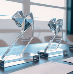 Distinguir a força invisível dos cuidadores informais
