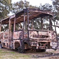 Autocarro da Rede Expressos incendiou-se na A2 sem registo de feridos