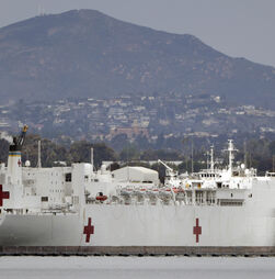 Presidente dos EUA diz que vai enviar navio-hospital para a Gronelândia