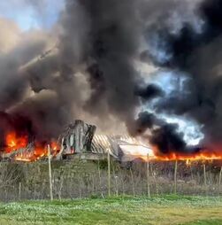 Mais de 100 bombeiros combatem incêndio em armazém de frutas em Óbidos